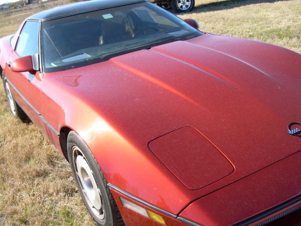 vette02.jpg