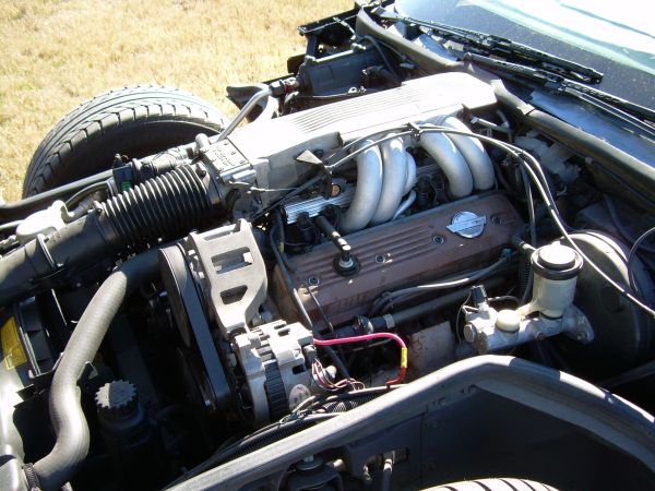 vette06.jpg