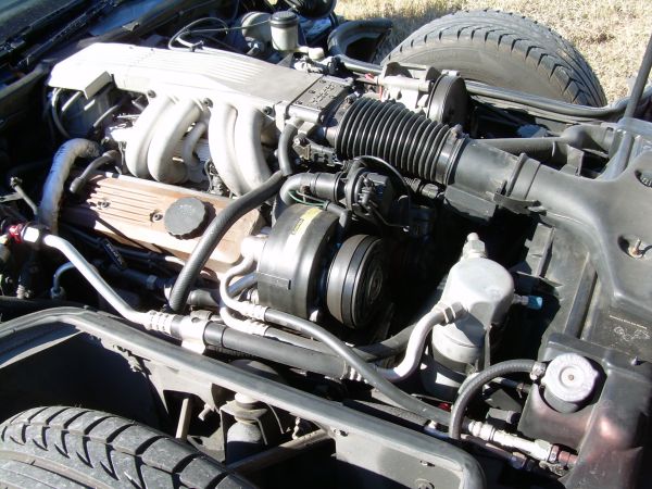 vette07.jpg